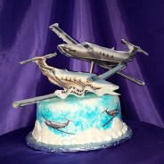 Pilot Birthday Cakes